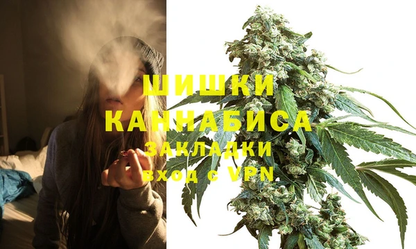 ГАЛЛЮЦИНОГЕННЫЕ ГРИБЫ Бугульма