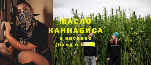 прущие крисы Бородино