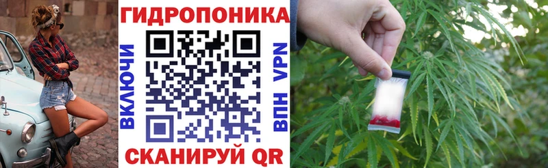 Бошки марихуана OG Kush Вилючинск